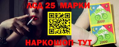 амф Бердск