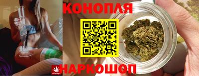 амф Бердск