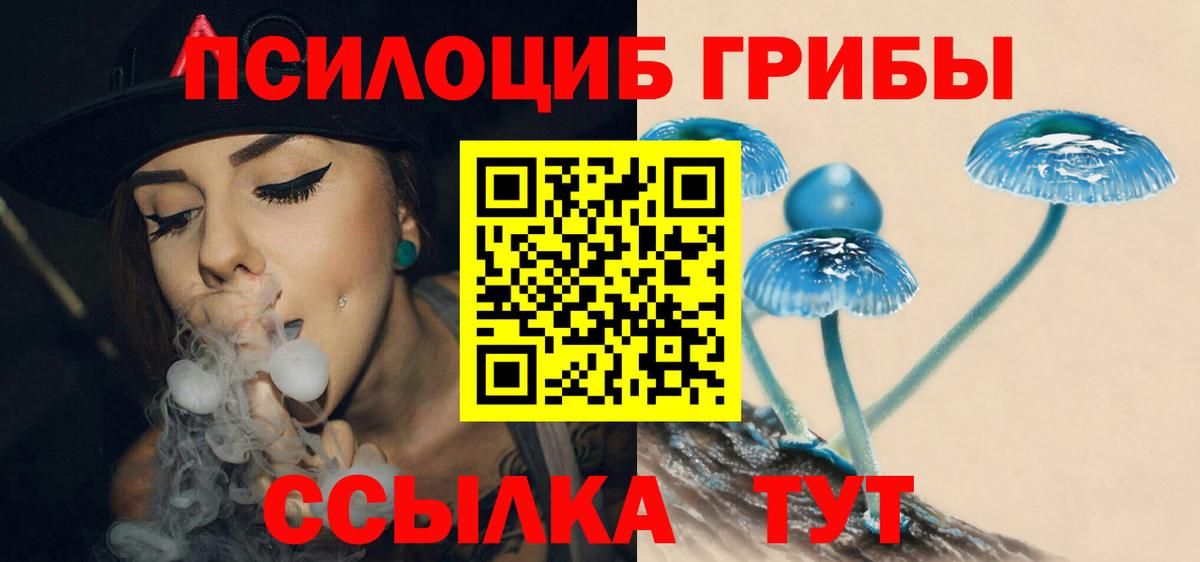 Галлюциногенные грибы прущие грибы  Вход с VPN  Рузаевка 